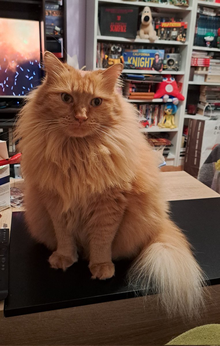 Ripley à son prime de fluff