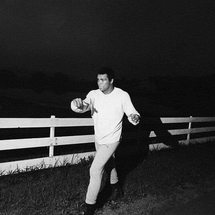 علي الشيخ tweet media