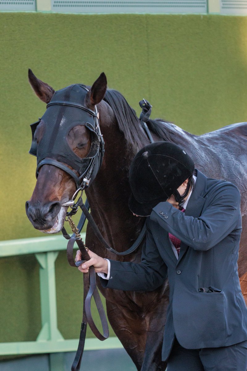 あっきぃ (@akkieSL4) / Posts / X