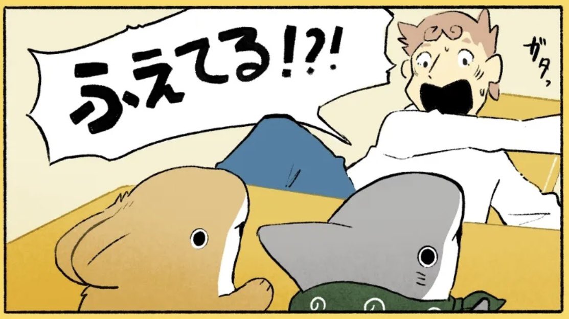 なんと…!ありがとうございますッ…!😭🦈 