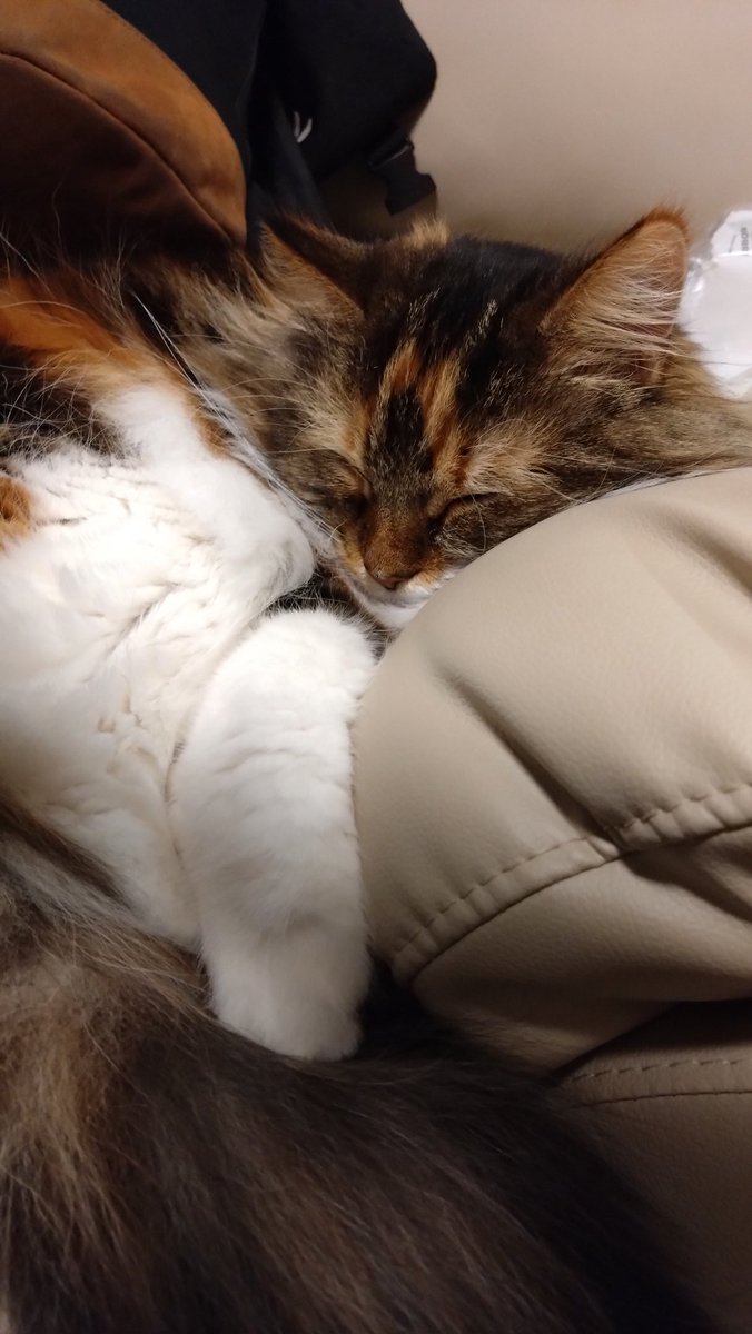 良い年末を過ごしていらっしゃる