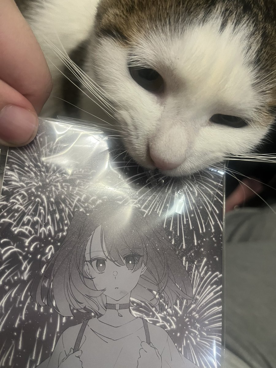 わたたべ上映会の入場特典のポストカード眺めてたら私を喰べたい親愛の