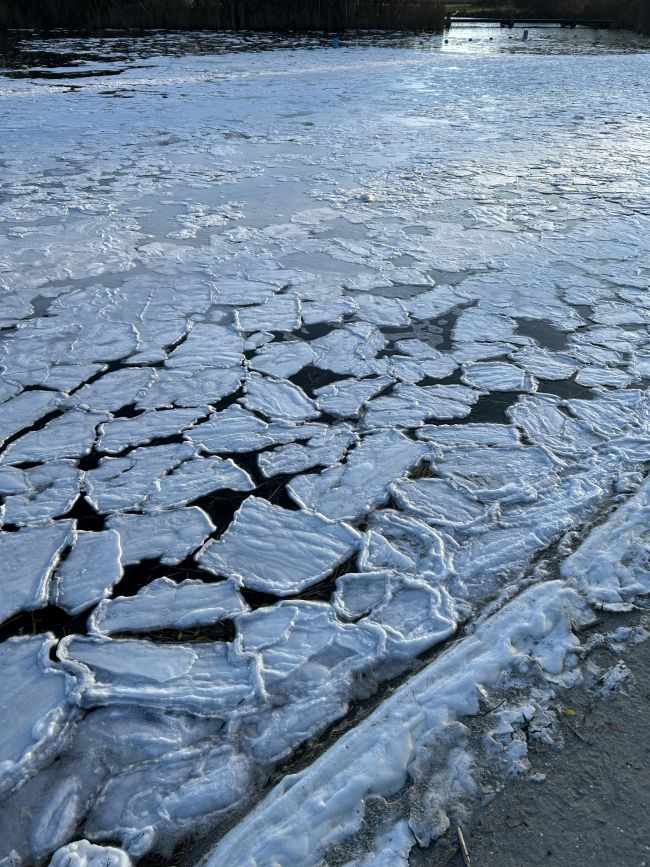 Vandaag Actueel Weer janvissersweer.nl/vandaag-actuee… Zware koudegolf teistert deze maand Alaska en de Canadese Yukon. December verloopt regionaal 20 graden te koud (!!). Ondertussen zomerse condities in het centrale deel van de VS. In Tulsa, Oklahoma werd gisteren bijna 31 graden