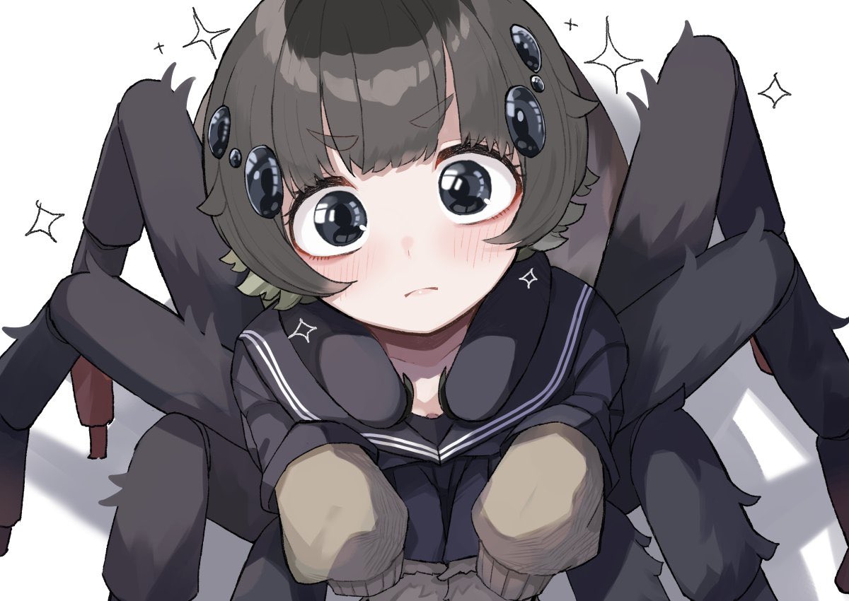 「#今年も残りわずかなので今年一番伸びた作品を貼る このハエトリグモちゃんでしたあ」|plan🐻熊野プランのイラスト