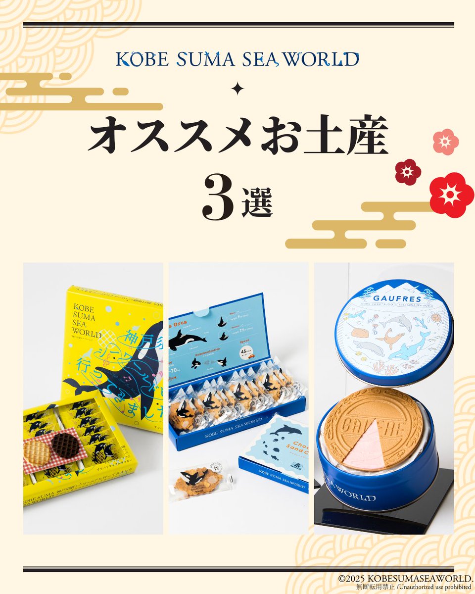 年末年始の帰省にぴったり！／ 【オススメお土産3選】 大人数で