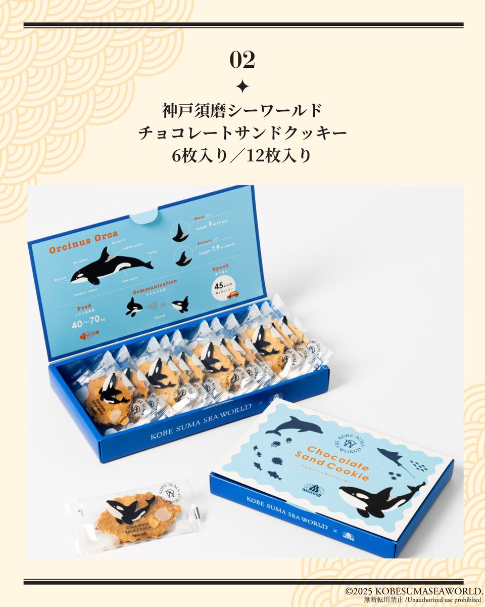 年末年始の帰省にぴったり！／ 【オススメお土産3選】 大人数で