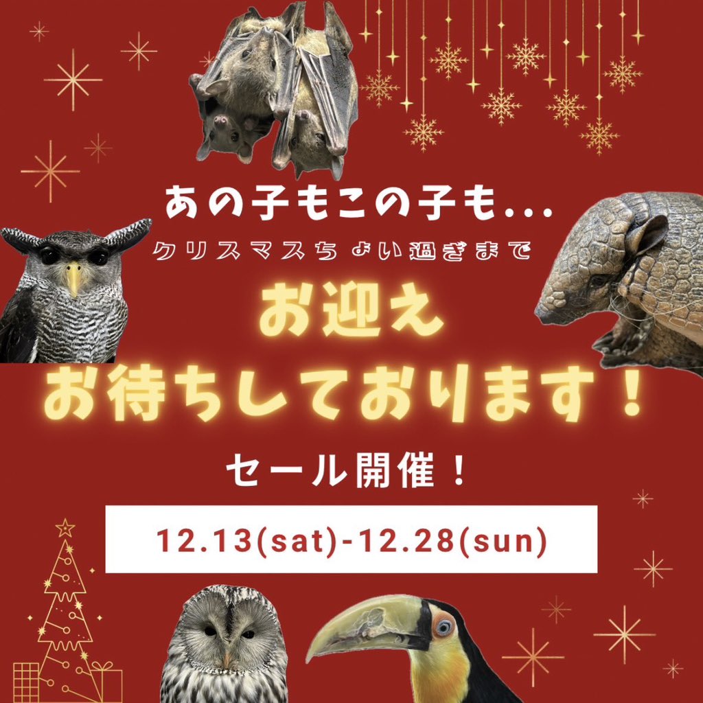 本日最終日】 いよいよ本日が最終日となりました！ あの子もこの子も