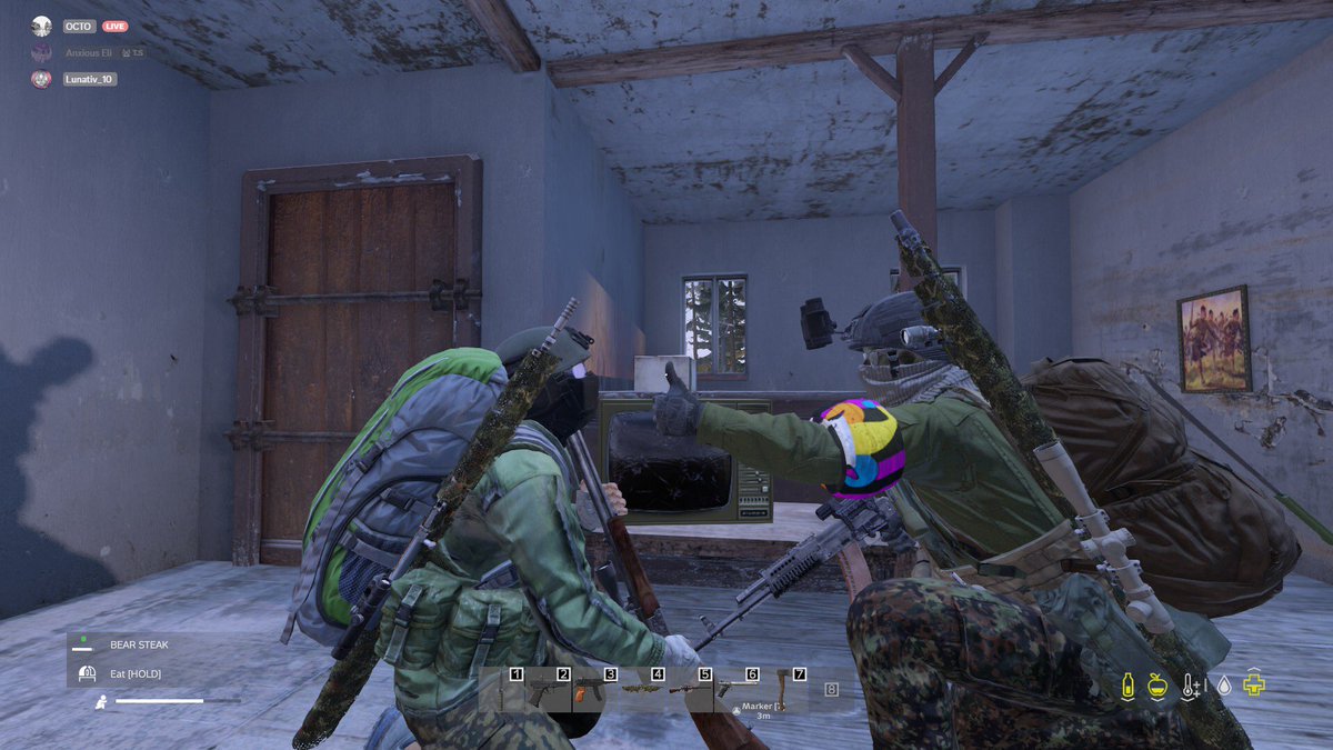 Average dayz playthrough