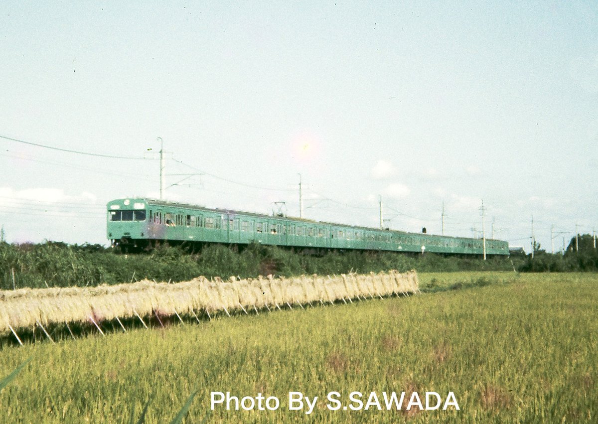 モデル８ tweet media