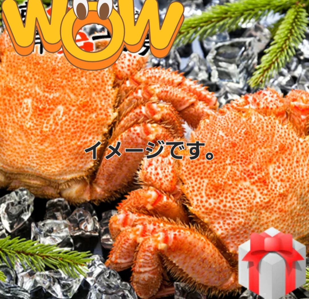 明日 12月29日(月曜日)15時。 大型冷凍毛ガニ 約800g 5000円＋税 40杯