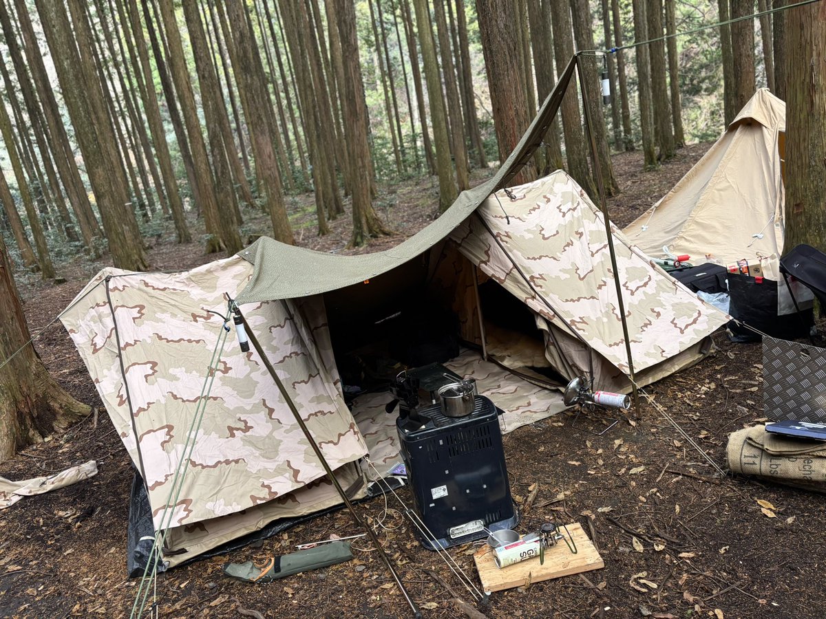 オランダ軍幕2ルームはいいぞ！ #ダッチアーミーテント #デザートカモ