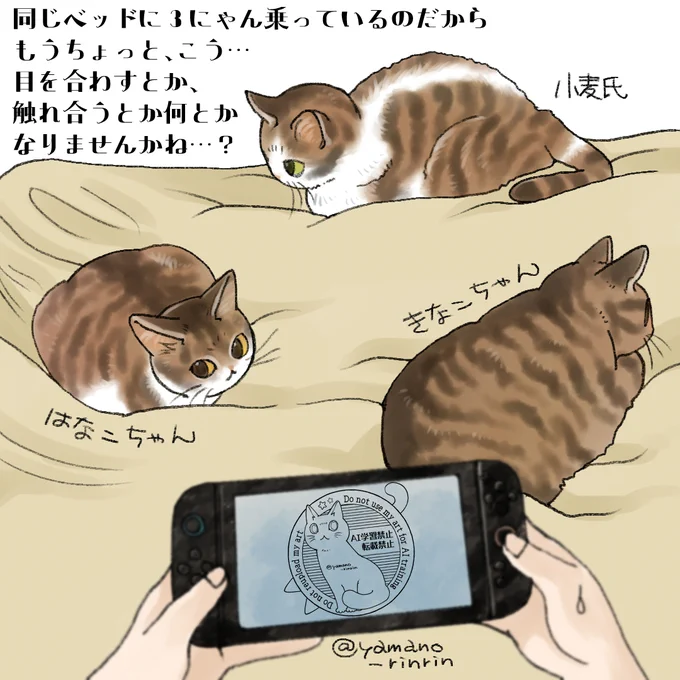 #今日の山野絵 
同じベッドに3にゃん乗っているのだから、
もうちょっと、こう…
目を合わすとか、
触れ合うとか何とか
なりませんかね…? 
