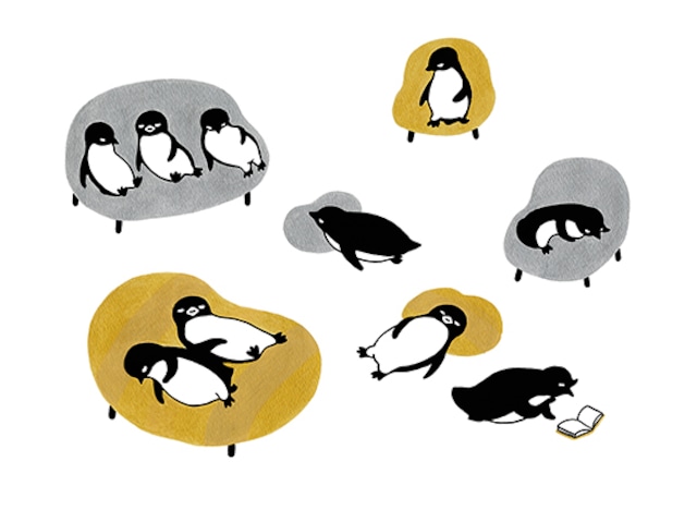 公式】坂崎千春〈3 周年㊗️ペンギンパーティー2025〉終了しました