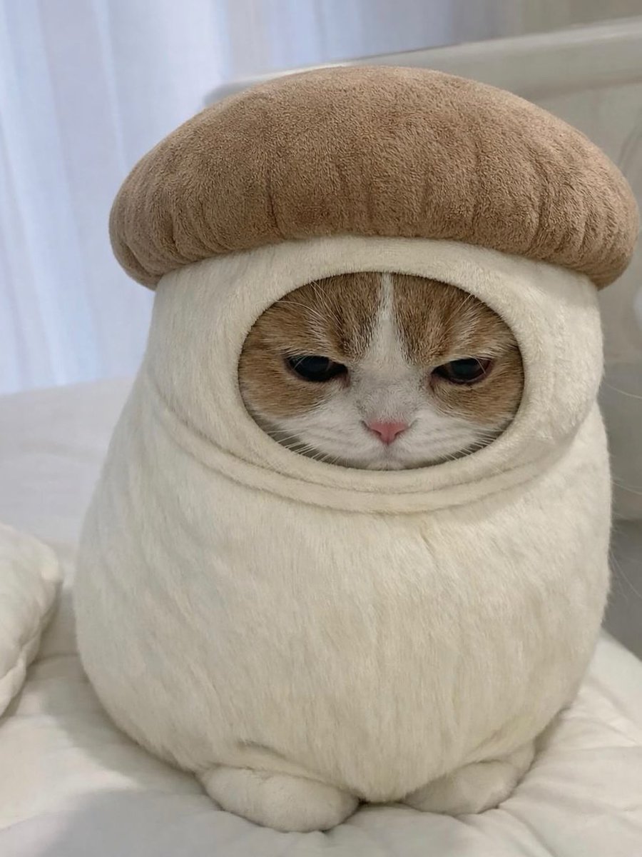 赤宮むむ / Mumu Akamiya@C107(火)_西2そ-23a (@mumumu_atto) / Posts / X