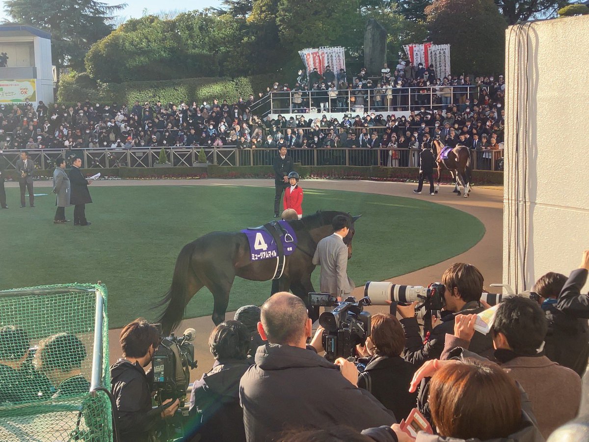 Nxtfl1x's tweet photo. 今日は今年1番の最高の1日になりました🙇‍♂️✨️

感無量で言葉が出ないけど新馬からずっと推してきた馬なだけに当たった的中額よりも感動のが強かったです😭💦

Cデム本当にありがとう、そして有馬記念勝利おめでとうミュージアムマイル🥳✨️ https://t.co/r85mWdjd5o