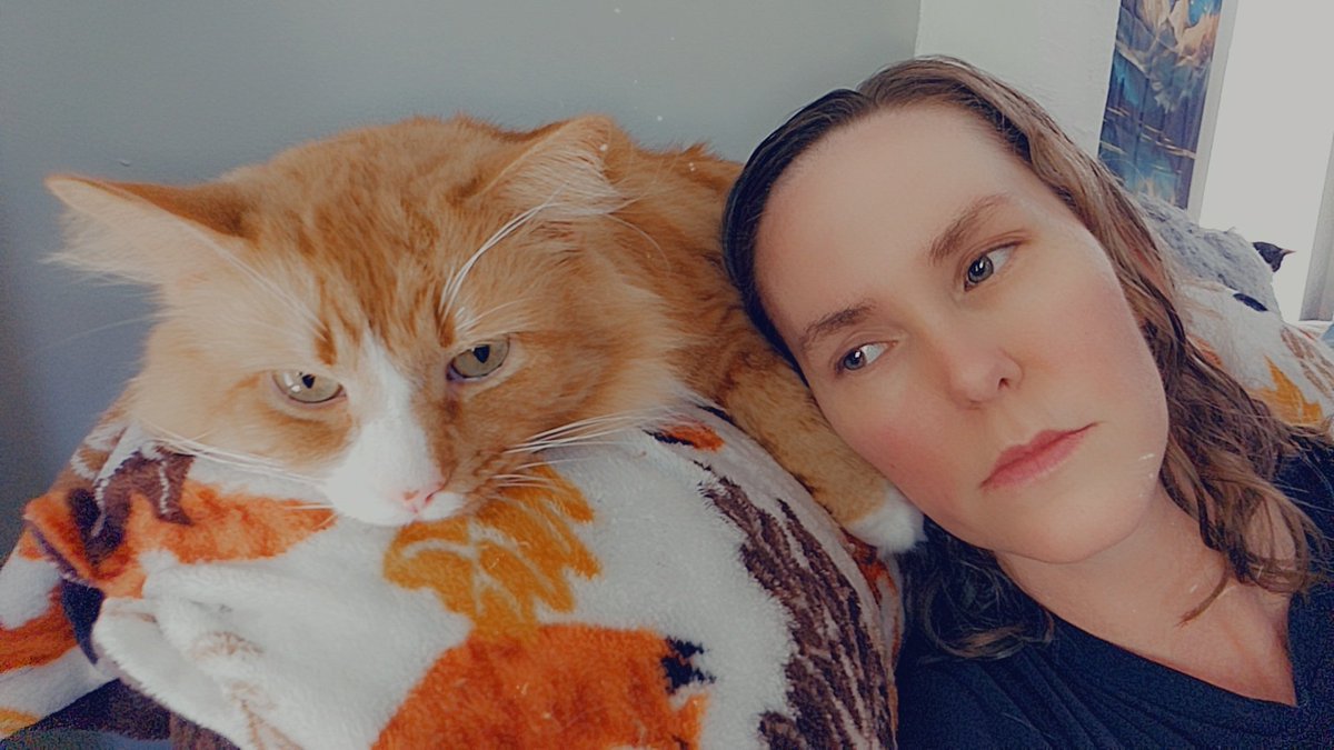 🐈 Ranae 🐈‍⬛ tweet media