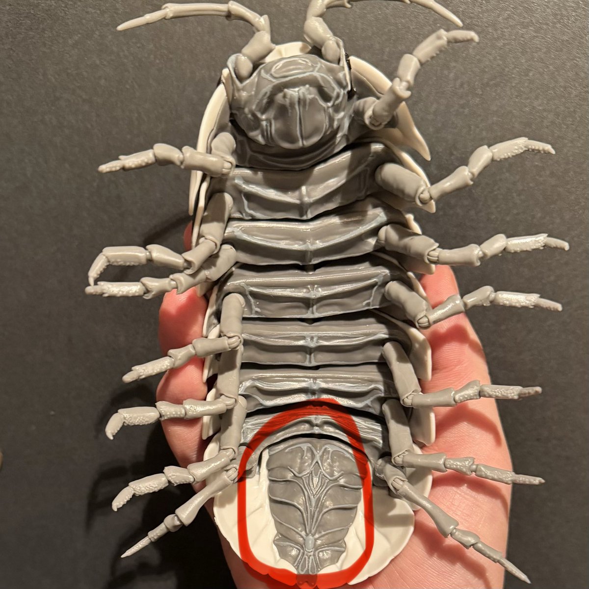 isopods_7se's tweet image. おだんこ好きとしては見逃せないガチャやってきた！

1500円のクオリティはある！
なんと生殖器までガッツリ再現！この子は♂！

namcoショップまで行ってやってきたけど在庫少ないところもあるらしいので欲しかったら急ぎましょう😉