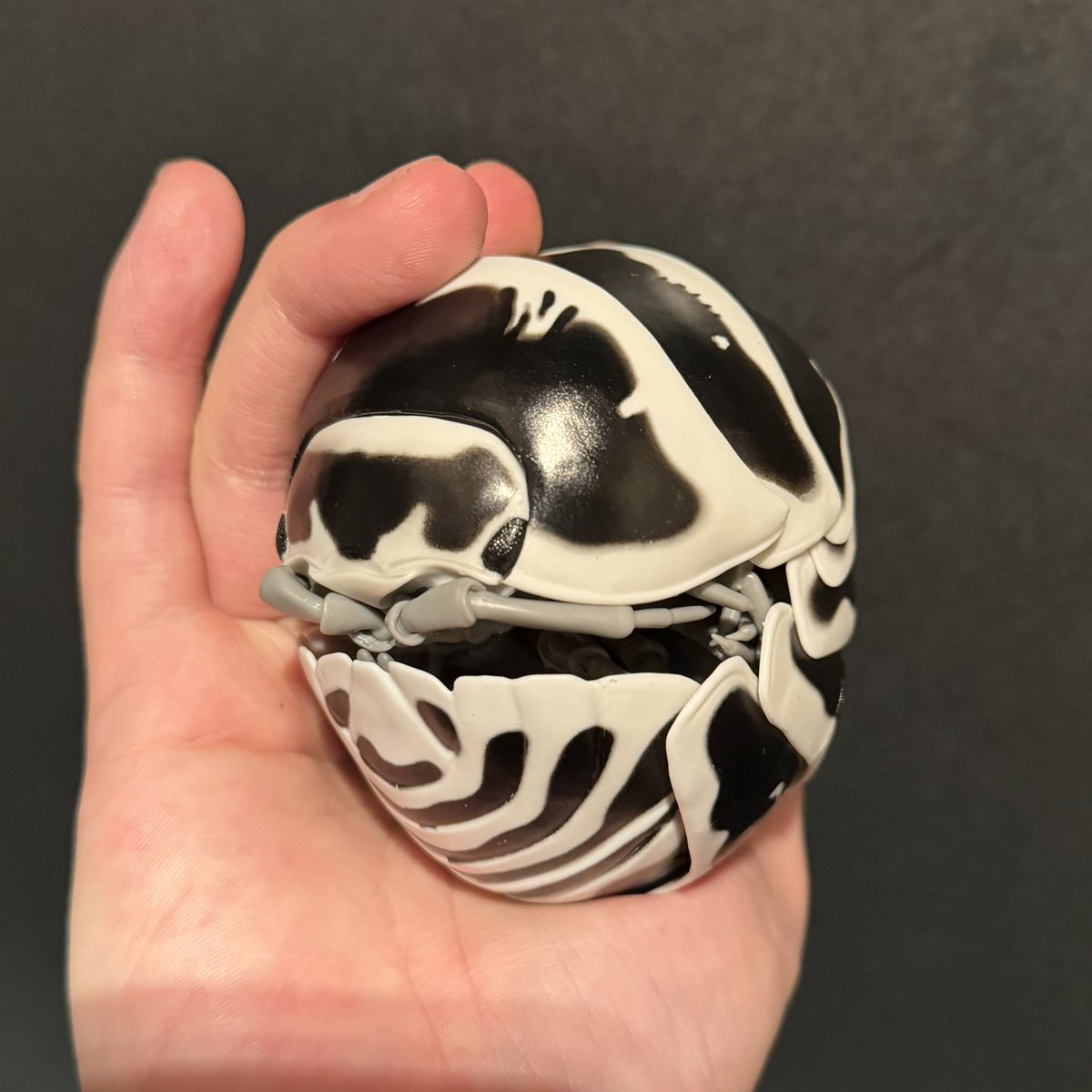 isopods_7se's tweet image. おだんこ好きとしては見逃せないガチャやってきた！

1500円のクオリティはある！
なんと生殖器までガッツリ再現！この子は♂！

namcoショップまで行ってやってきたけど在庫少ないところもあるらしいので欲しかったら急ぎましょう😉