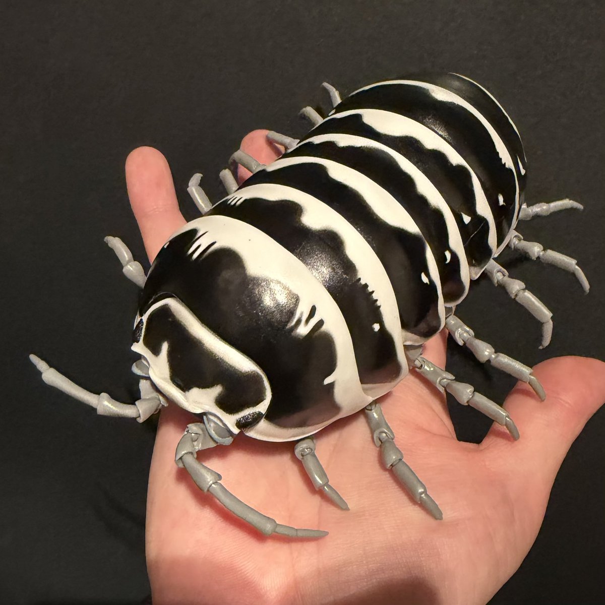 isopods_7se's tweet image. おだんこ好きとしては見逃せないガチャやってきた！

1500円のクオリティはある！
なんと生殖器までガッツリ再現！この子は♂！

namcoショップまで行ってやってきたけど在庫少ないところもあるらしいので欲しかったら急ぎましょう😉
