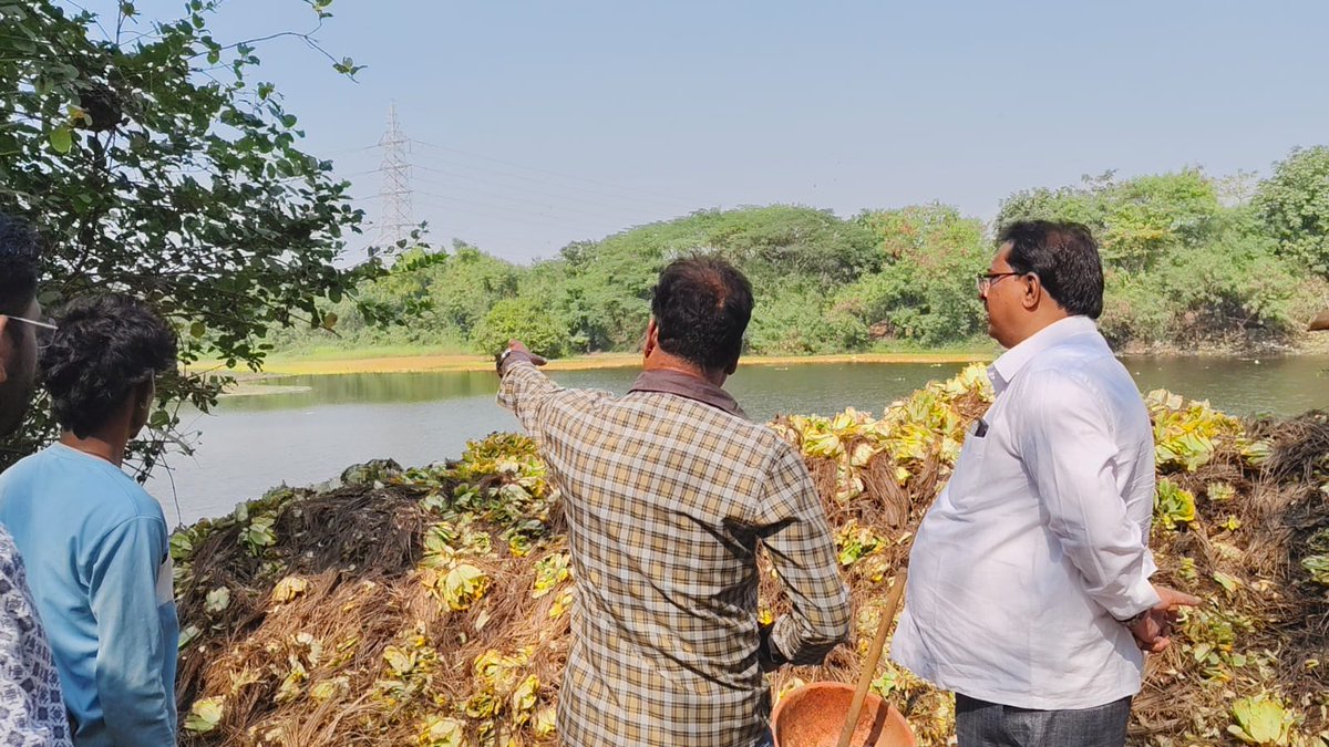 KhanHaroo3817's tweet photo. शिवसेना (उद्धव बाळासाहेब ठाकरे) पक्षाचे वर्सोवा विधानसभा मतदारसंघाचे कार्यकुशल व लोकप्रिय आमदार मा. श्री. हारून खान साहेब यांच्या सातत्यपूर्ण प्रयत्नांमुळे लोखंडवाला तलावाच्या सौंदर्यीकरणाचे काम प्रगतीपथावर आहे.
#mlaharoonkhan #versova #ShivsenaUBT #Maharashtra https://t.co/edY4KjoqhT