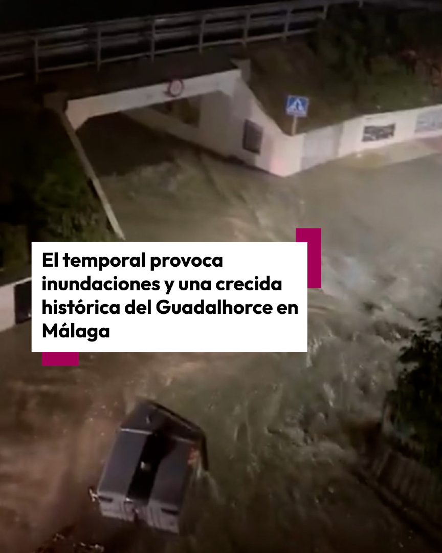 101TV Málaga tweet media