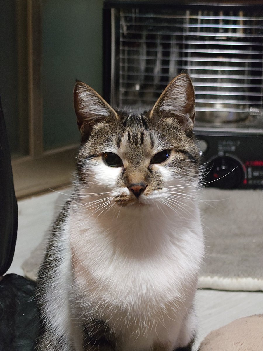 空音 (@sorato0724) / Posts / X