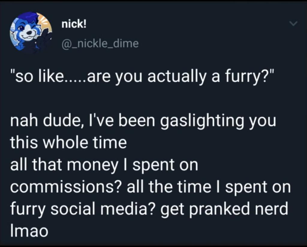 Furry memes (@furrymems) on Twitter photo 
