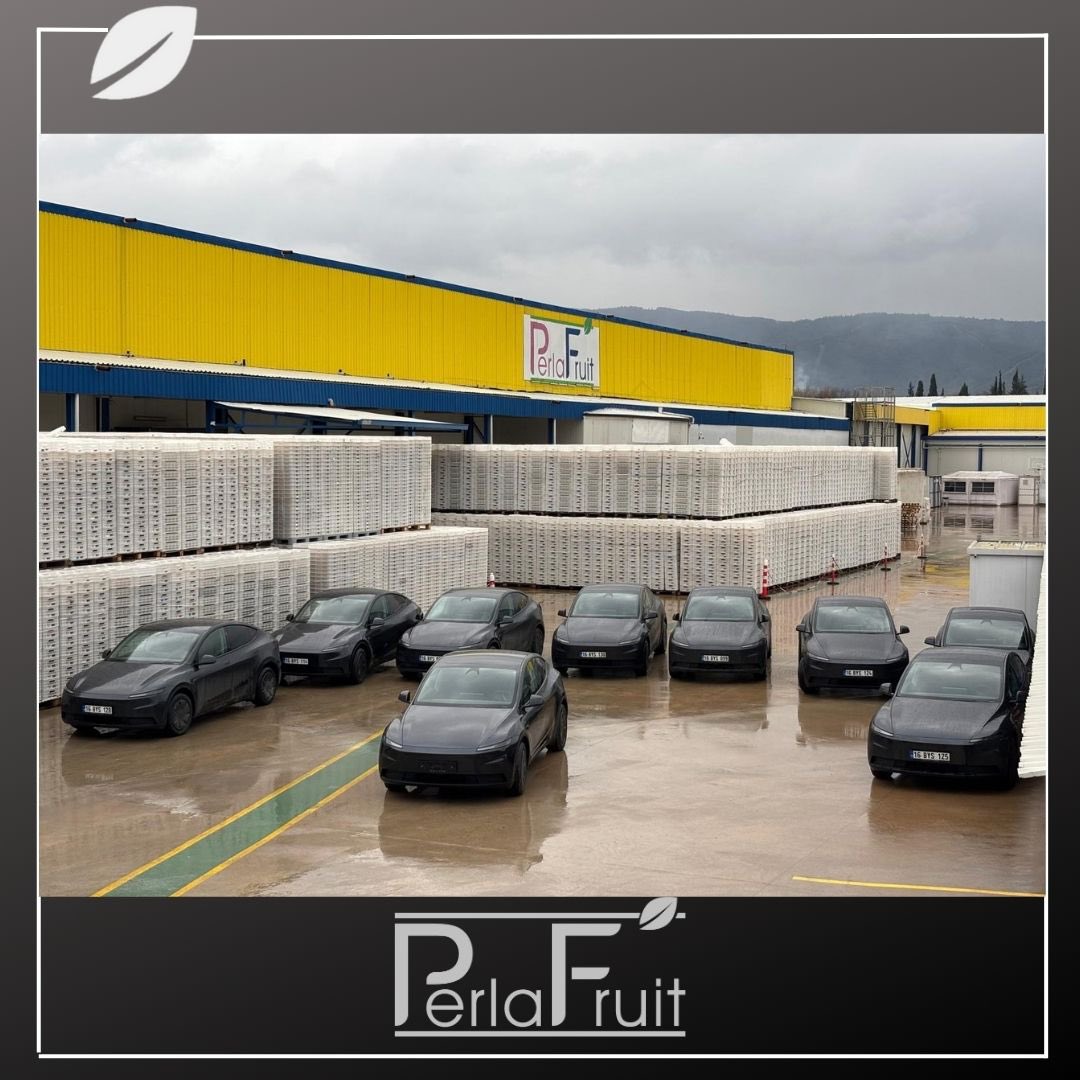 “Driven by our zero-carbon goal, we are transforming our corporate fleet. Following the initial replacement of our internal combustion engine vehicles with electric models, we target a complete transition to a fully electric fleet by the end of 2026."
Perla Fruit.
#ElonMusk