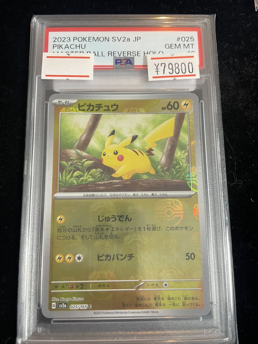 🔥ポケカ入荷情報🔥】 ✨⭐️PSA10⭐️✨ ⛈️ピカチュウ《マスター