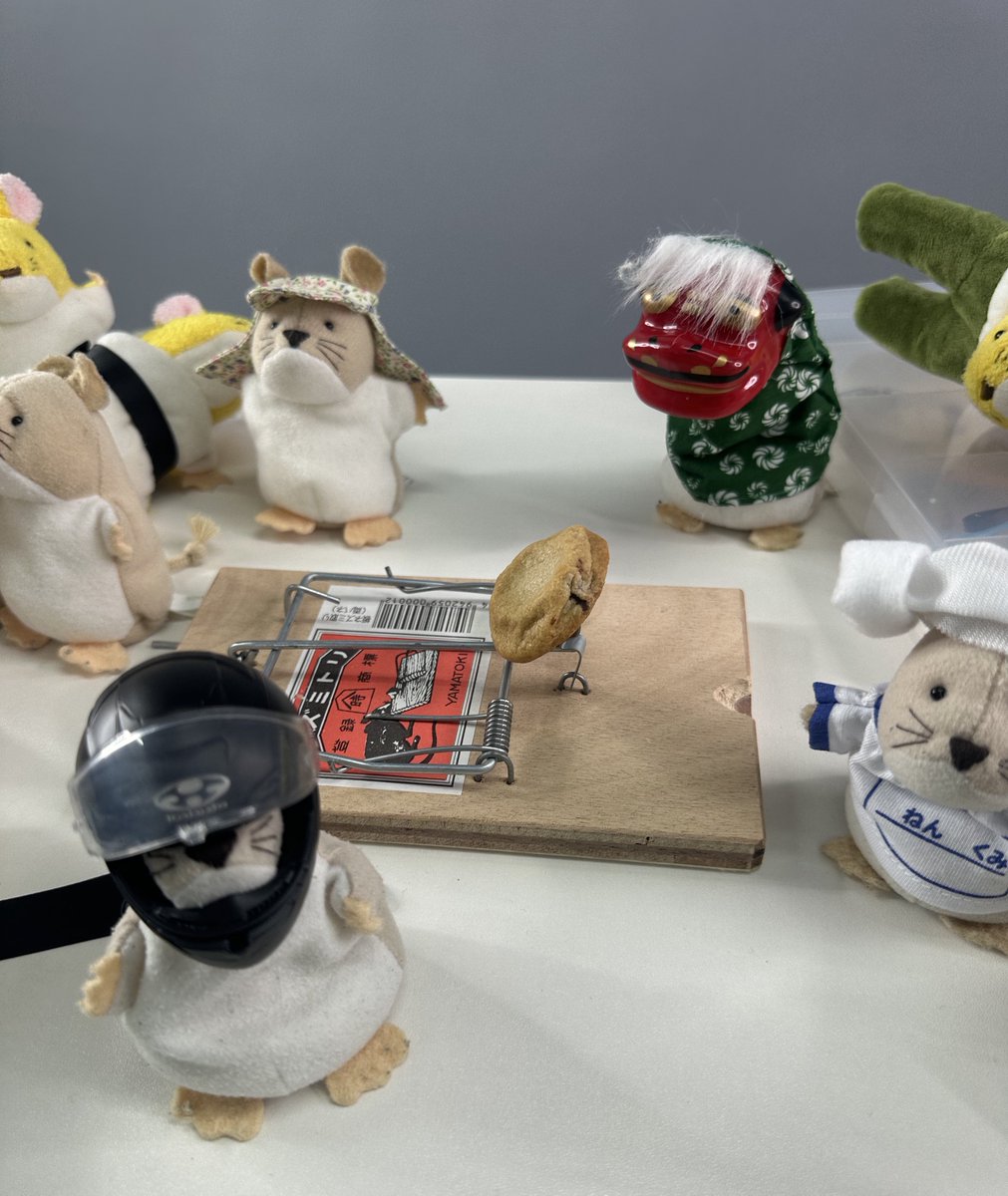ネッピー・チーズ(本人) tweet media