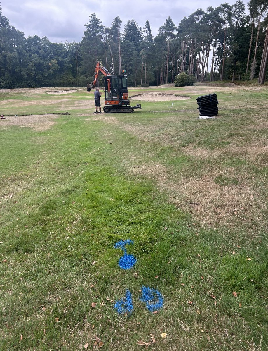 gregevansmg's tweet photo. Projects 2025: Sunningdale Heath 10th Hole
#greenkeeping #greenkeeper #projects2025 #golfcourse #agronomy @GolfShgc https://t.co/FiX7K6Newu