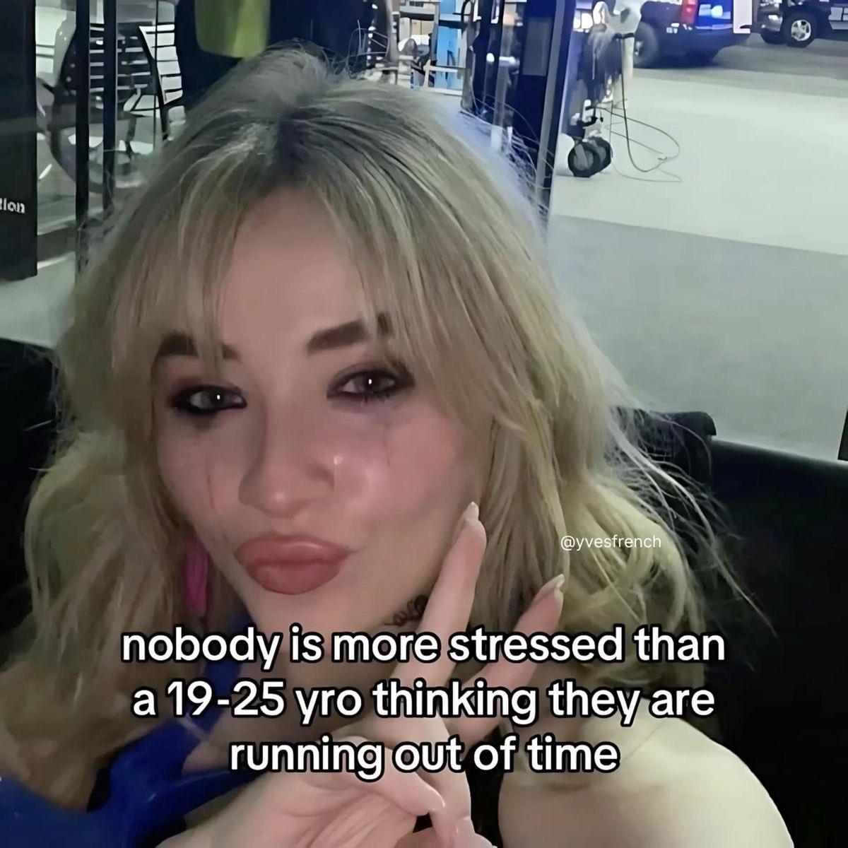 cdoll's tweet image. 