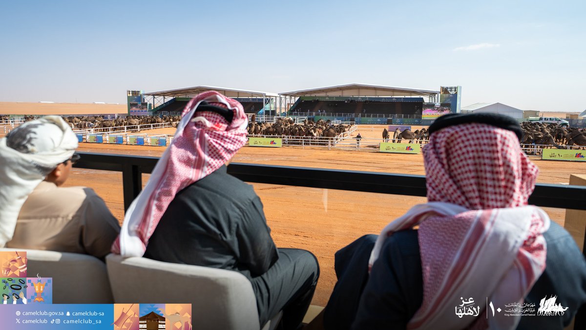 نادي الإبل tweet media