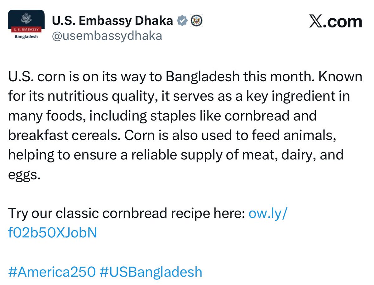 TrulyMonica's tweet image. Hindus are being roasted by the f*cking Islamists. Their houses are being set on fire and women are being tortured daily. But US Embassy in Dhaka is busy settling its business interests in the country. Vultures