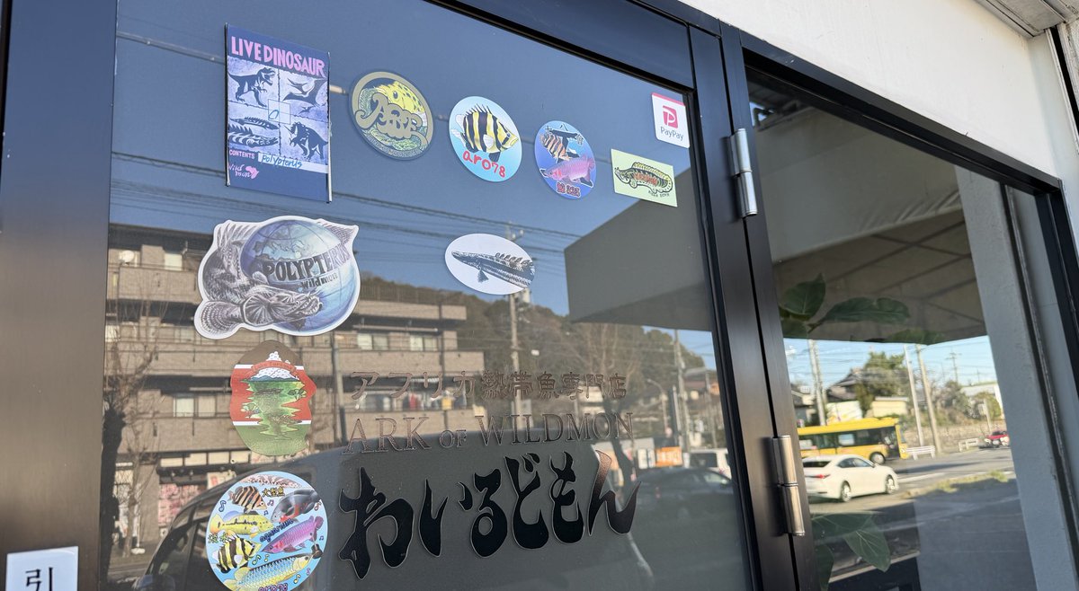 arogib7878's tweet photo. 年内

大撮影納め

お疲れ様でした🫡

#新採取地
#わいるどもん
#たくさんありがとうございます🍻
#良いお年を🐲 https://t.co/uQL6m0OAHL