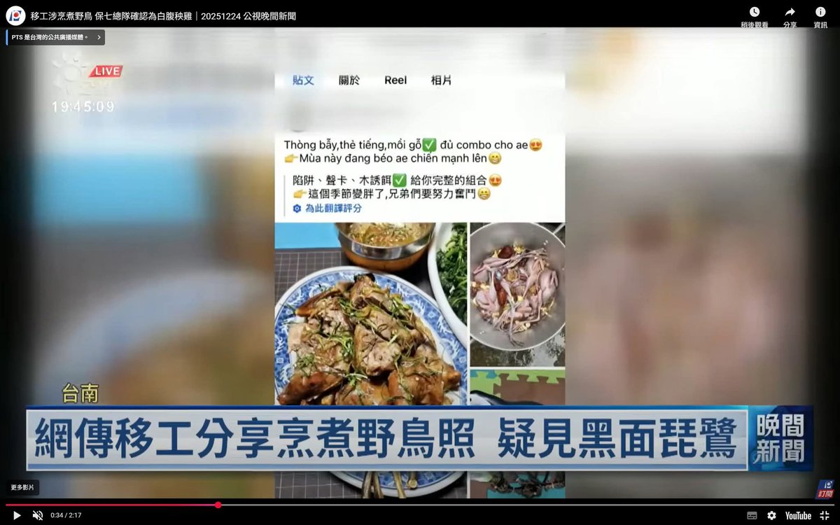 蟒龜Krieg tweet media