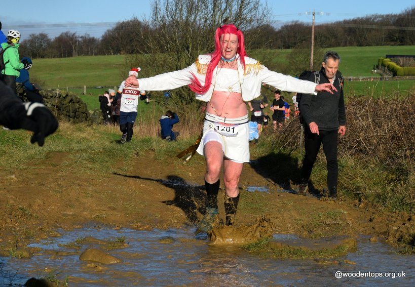 Woodentops tweet media