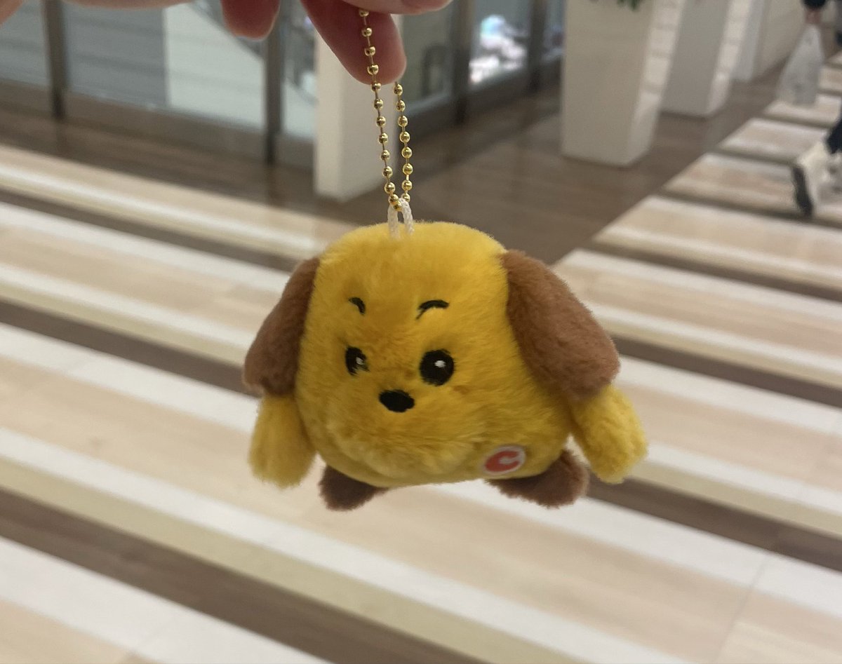 真剣 (@plandnn) on Twitter photo 