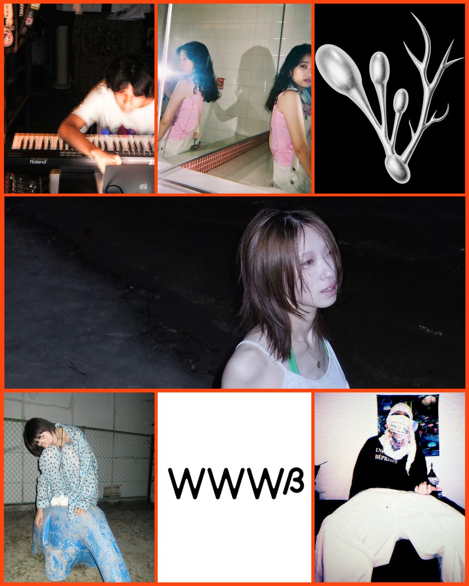 WWW / WWW X tweet media