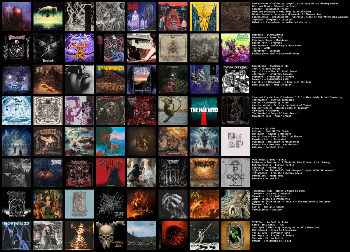 𝕯𝖆𝖓𝖎 𝕸𝖔𝖗𝖊𝖑𝖑 ⚔️ tweet media