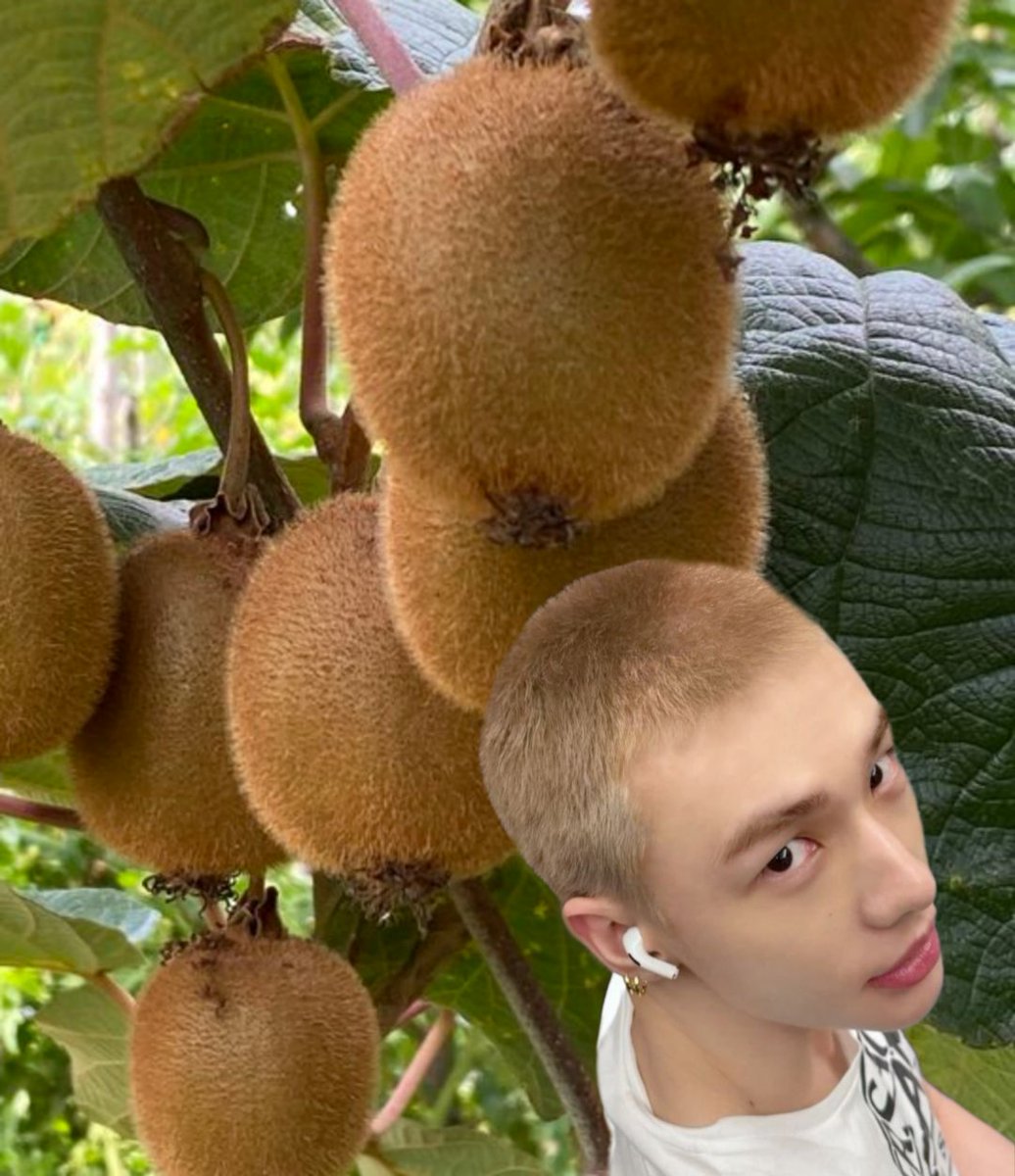 [🍊 &amp; 🥝] fruit salad