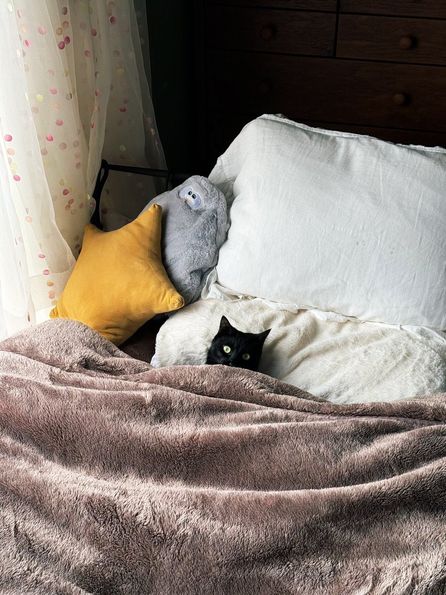 wwu11_'s tweet image. 作者不明の絵画とそっくり