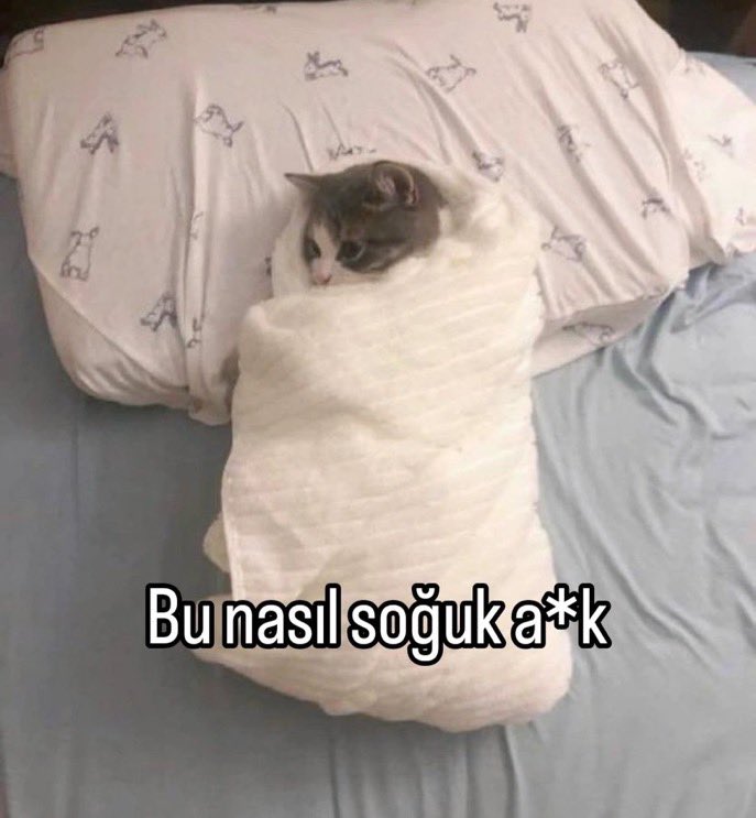 kizginliktayim's tweet photo. https://t.co/0RVto1hsjz