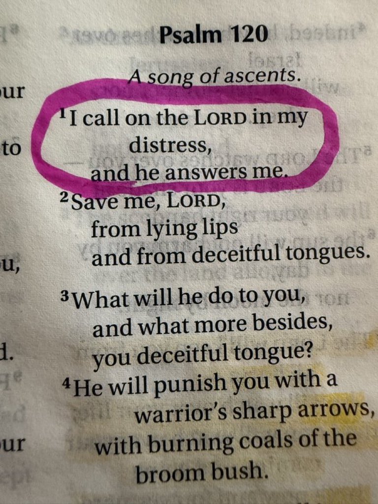 Bible 365 (@bible365_) on Twitter photo 