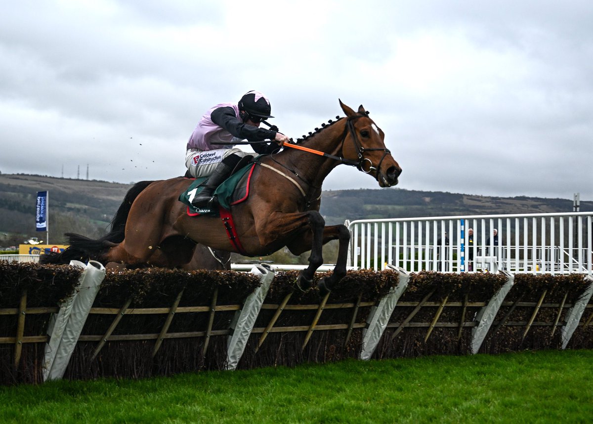 oddsRacing's tweet image. Just a few of many stars in action today @LeopardstownRC &amp;amp; @LimerickRaces! 😍

#GalopinDesChamps
#Inothewayurthinkin
#Teahupoo
#Ballyburn
#BobOlinger
#FinalDemand