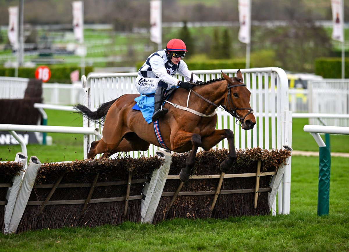 oddsRacing's tweet image. Just a few of many stars in action today @LeopardstownRC &amp;amp; @LimerickRaces! 😍

#GalopinDesChamps
#Inothewayurthinkin
#Teahupoo
#Ballyburn
#BobOlinger
#FinalDemand