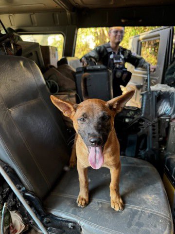 thaiarmedforce tweet media