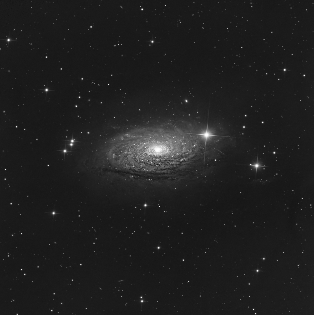 MazzifLOL's tweet photo. M63, The Sunflower Galaxy
Captured in Luminance with the 10" Newtonian
#astrophotography #galaxy #backyardastro https://t.co/vmDwbVQLJy