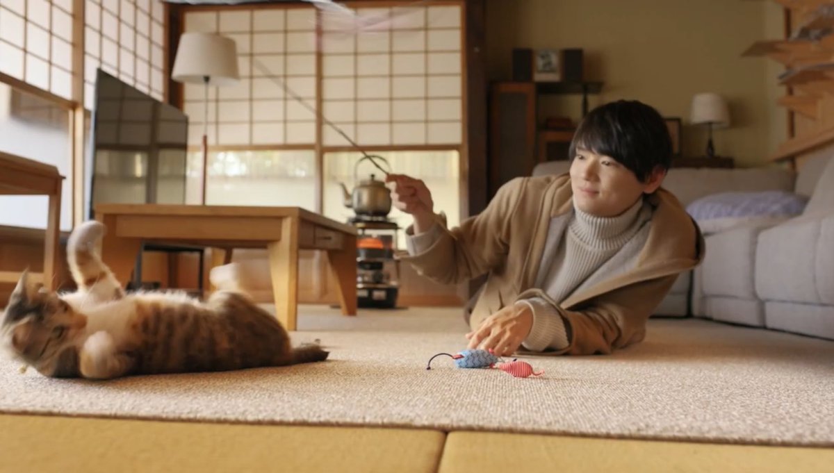 akechiyumi1972's tweet photo. 「ねこ物件」

猫と古川雄輝さんという二大癒しが一緒に見れる神ドラマ。

リヤタイは、私の地域はかなりの深夜帯だったけど、夜ふかしして見てました。

TV erさん。リクエストして良い？ https://t.co/lypAnrl9Lg