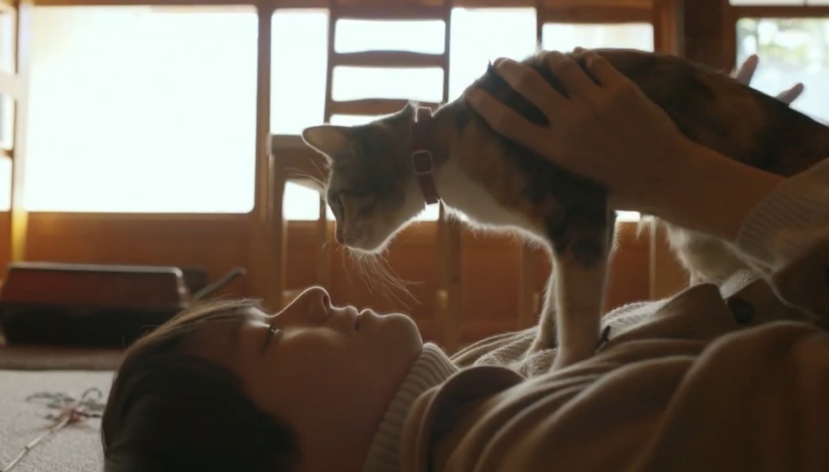 akechiyumi1972's tweet photo. 「ねこ物件」

猫と古川雄輝さんという二大癒しが一緒に見れる神ドラマ。

リヤタイは、私の地域はかなりの深夜帯だったけど、夜ふかしして見てました。

TV erさん。リクエストして良い？ https://t.co/lypAnrl9Lg